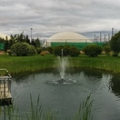 На Хасанской